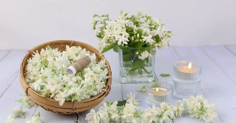 Fresh jasmine flowers in a basket with lit candles, creating a serene aromatherapy environment.